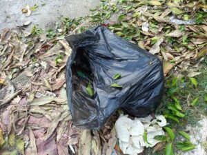 Hallan restos de canes en avanzado estado de descomposición en colonia de Coatzacoalcos