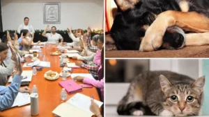 Coatzacoalcos crea Consejo Municipal para la Atención y Bienestar Animal