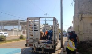 Atienden predio abandonado para prevenir riesgos sanitarios en Coatzacoalcos
