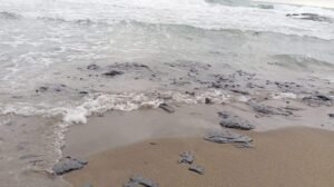 Suman 39 comunidades afectadas por derrame de petróleo en Veracruz y Tabasco