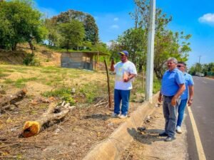 Ayuntamiento de Nanchital llama a evitar tala de árboles en áreas verdes