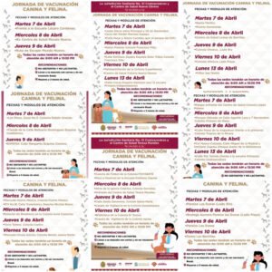 Arranca jornada de vacunación antirrábica 2026 en Coatzacoalcos