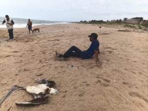 Hallan muerto a un pelícano y un manatí en Villa Allende; investigan posible relación con contaminación