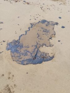 Derrame de crudo deja a 80 pescadores de Guillermo Prieto en incertidumbre