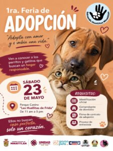 Invitan a Feria de Adopción en Minatitlán para dar hogar a perros y gatos