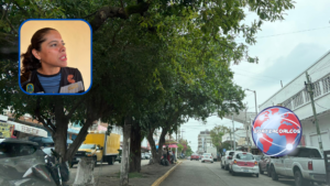 Ayuntamiento de Coatzacoalcos intensifica poda de árboles para prevenir accidentes y mejorar la imagen urbana
