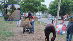 Ayuntamiento realiza trabajos de mantenimiento urbano sobre la avenida Lemarroy en Coatzacoalcos