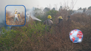 Segundo incendio en cuatro días consume pastizales en Villa Allende