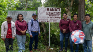 Gobierno de Minatitlán impulsa acciones para proteger y conservar al manatí en Carrizal Dos