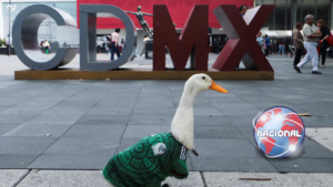 Merlín, el pato que conquistó el Mundial 2026 y se convirtió en la mascota no oficial de la afición mexicana