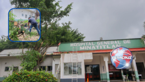 Ayuntamiento de Minatitlán retira árbol que representaba riesgo en Hospital General