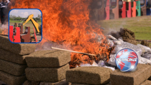 Rocío Nahle encabeza destrucción de casi 800 kilos de drogas aseguradas en Veracruz