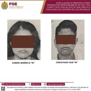 Vinculan a proceso a dos personas por presunto maltrato de cuatro perros en Coatzacoalcos