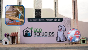 Estudiantes del CBTIS 85 elaboran casitas con material reciclado para perros en situación de calle