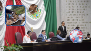 Congreso de Veracruz aprueba hasta 5 años de prisión por actos de rapiña