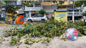 Refuerzan poda de árboles en el centro de Coatzacoalcos ante llegada de frentes fríos