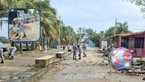 Retiran toneladas de palotada y basura del malecón ribereño de Villa Allende