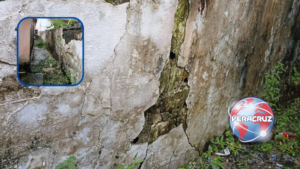 Vecino de Villa Allende teme otra tragedia por barda en riesgo de colapso debido a un árbol